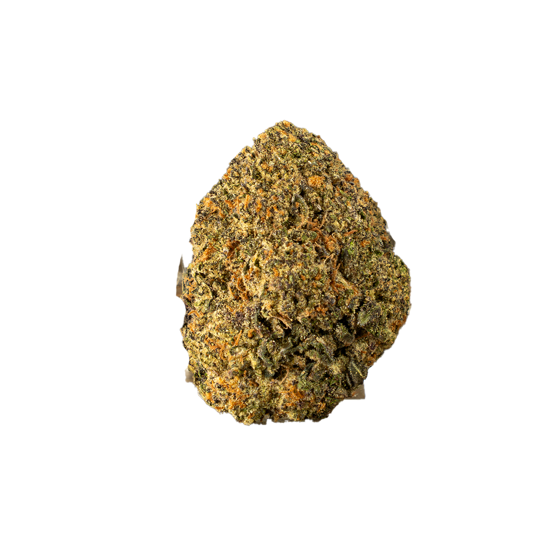 Black Truffle