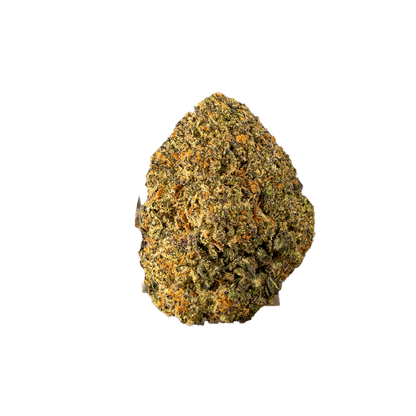 Black Truffle