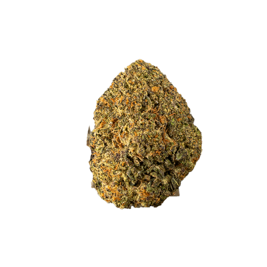 Black Truffle
