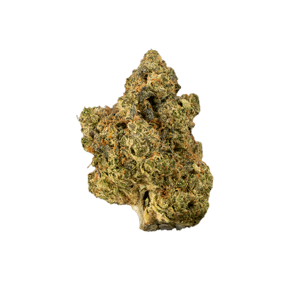 Forum Cut Cookies