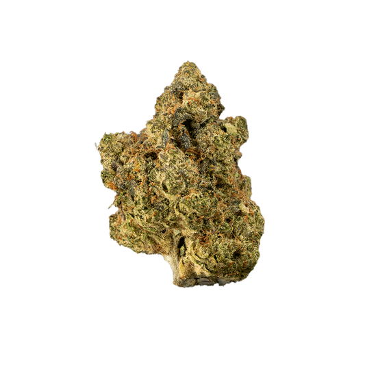 Forum Cut Cookies