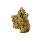 Forum Cut Cookies