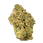 Forum Cut Cookies