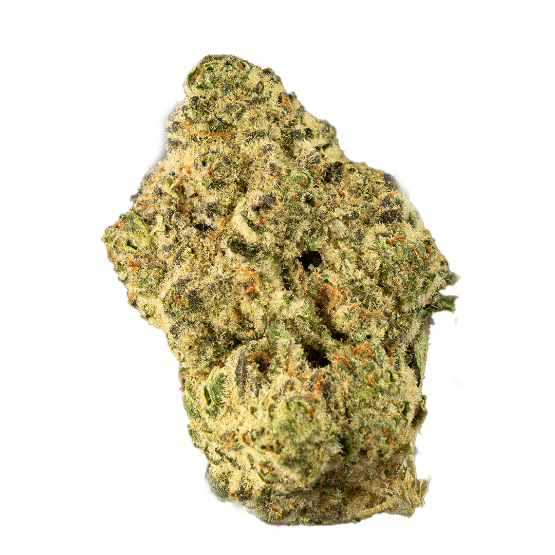 Forum Cut Cookies