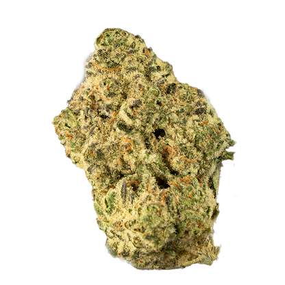 Forum Cut Cookies