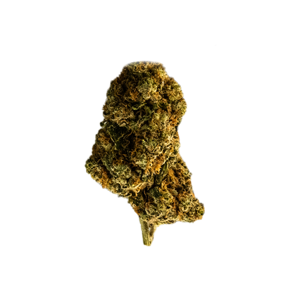 Hashburger