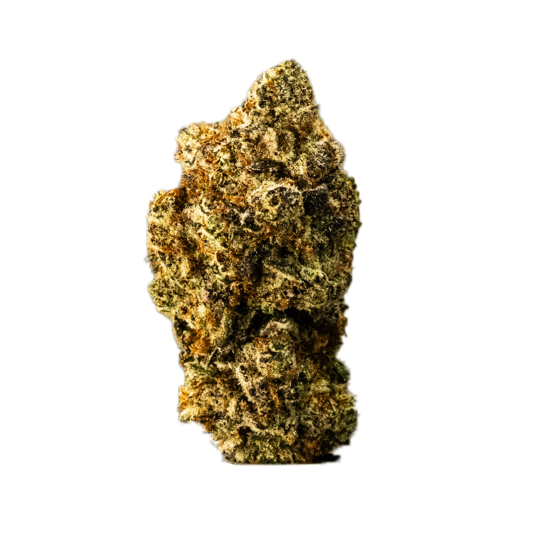 Boston Runtz Runtz – Gstar Distribution