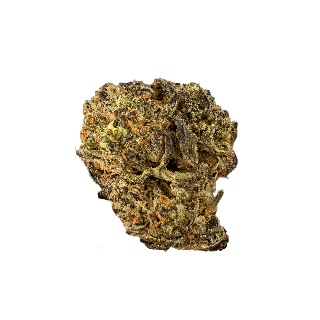 White Truffle
