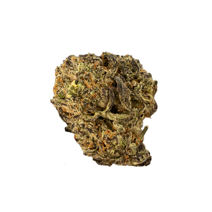 White Truffle