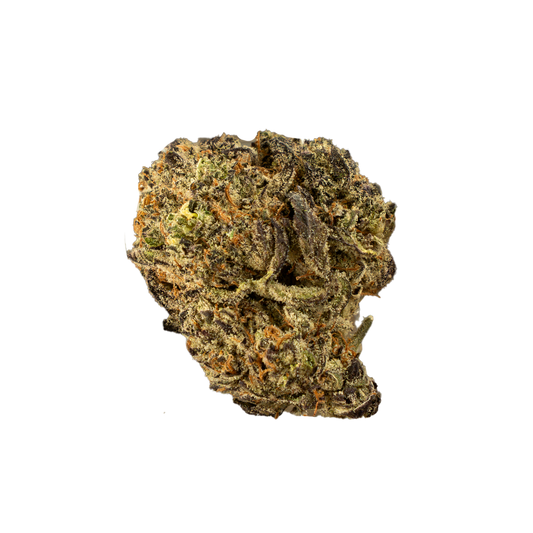 White Truffle