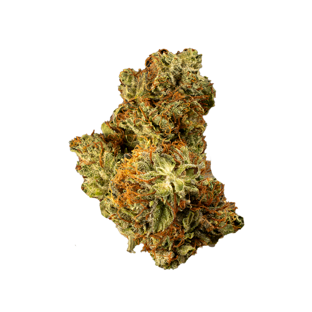 White Truffle