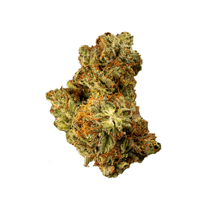 White Truffle