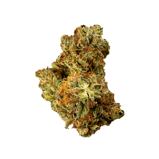 White Truffle