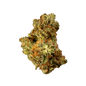 White Truffle