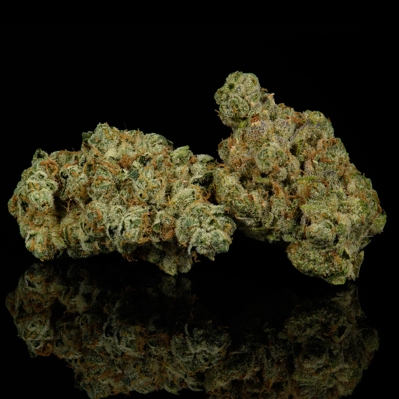 Fish Scale