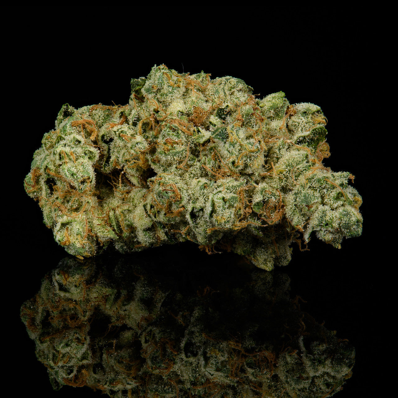 Fish Scale